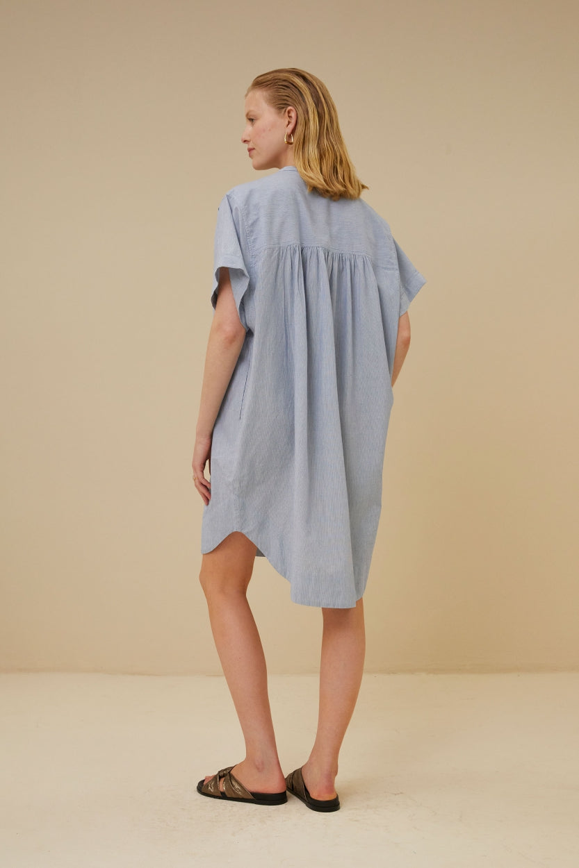 Amber Pin Stripe Dress