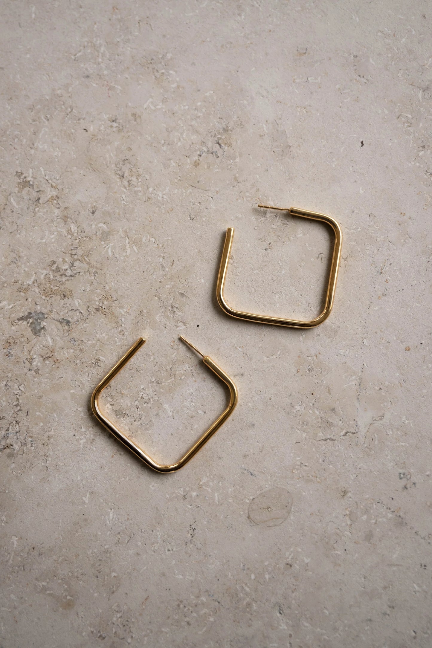 Pd Squared earring