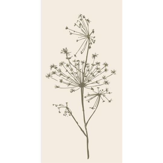 Napkin Green Umbel Flower