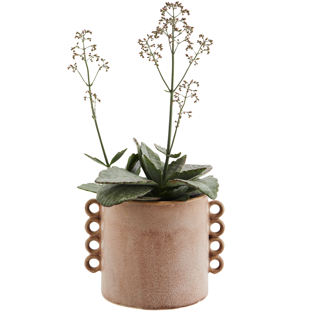 Stoneware Flower Pot w/ruffles