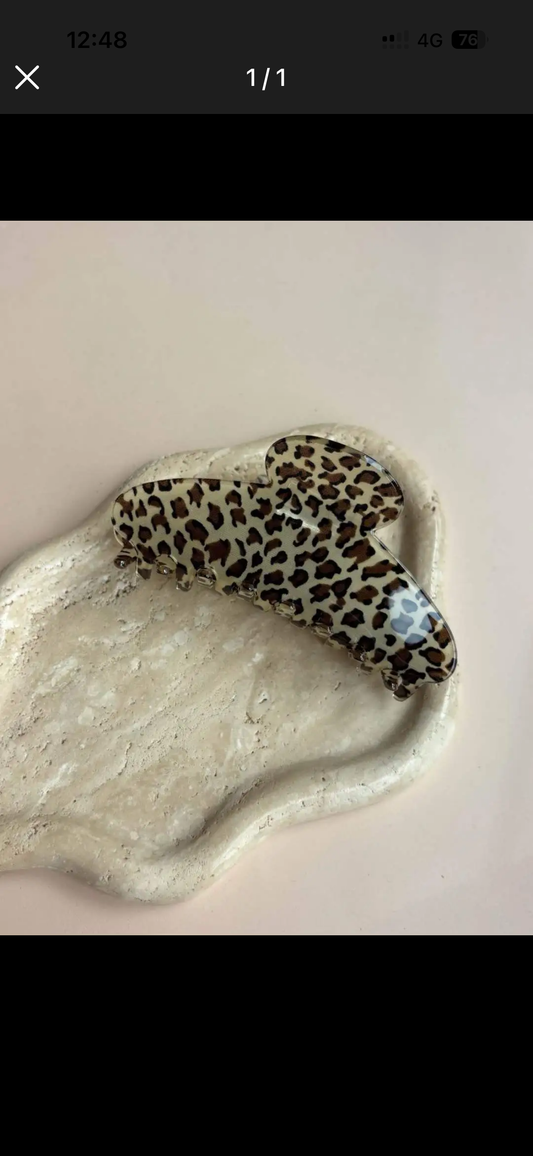 Hairclip €6,50