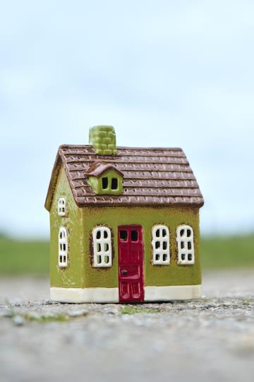 House Green / Red Door