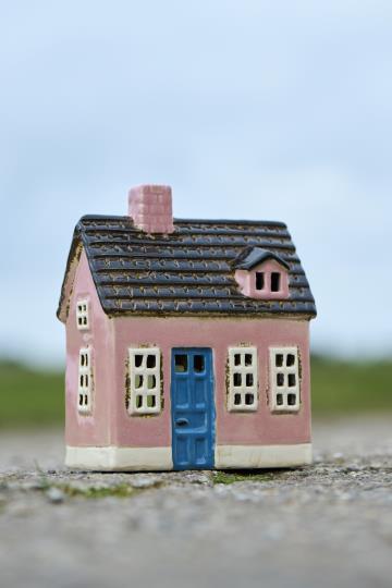 House Pink / Blue Door
