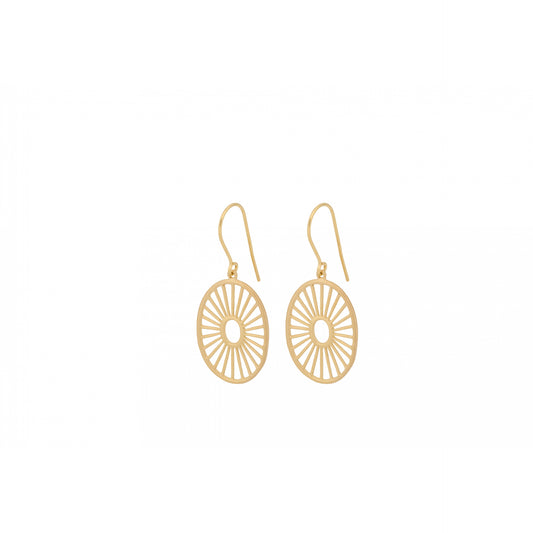 Daylight Earhooks
